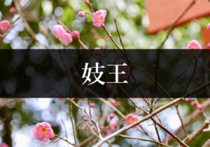 妓王