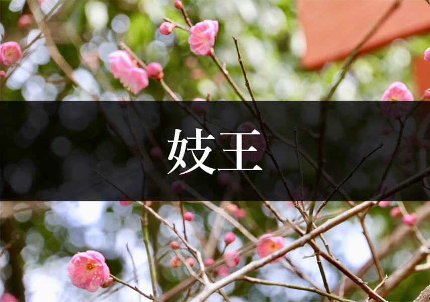 妓王