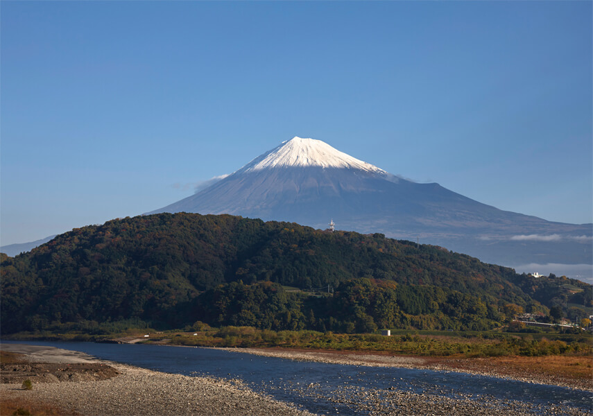 富士川の戦い