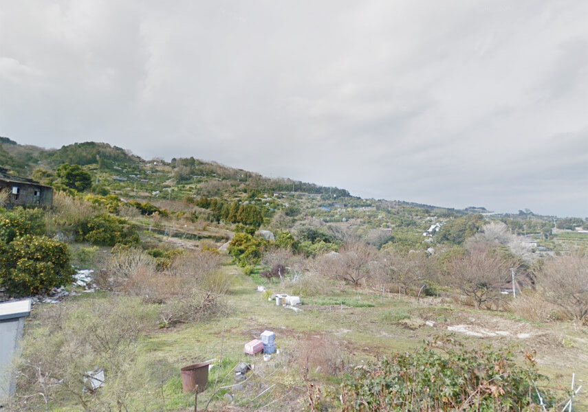 石橋山